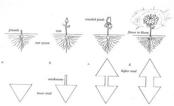 Description: D:\Dropbox\Dropbox\Meditation_Baker\Meditation 1_files\image001.jpg